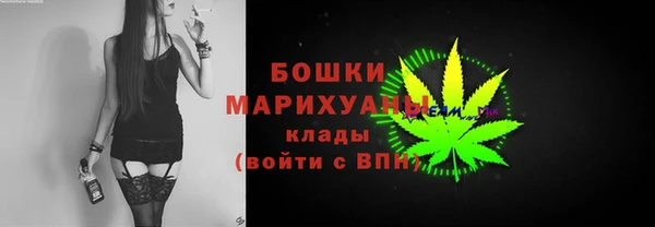 гашик Гатчина