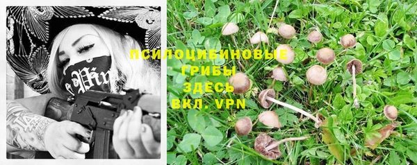 спайс Белокуриха